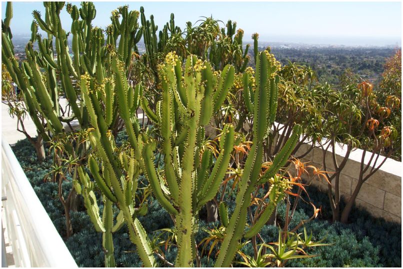 LA 092